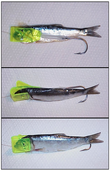 rotary salmon killer tool rotary salmon killer tool